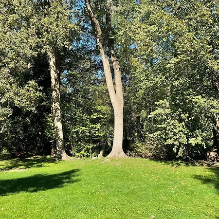 Eichengrund Baum 7 * Burg (Spreewald)