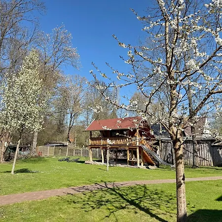 Eichengrund Baum 7